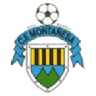 Montañesa