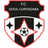 Oltul Curtişoara