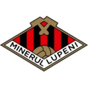 Minerul Lupeni