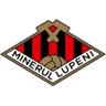 Minerul Lupeni