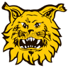 Ilves II